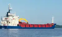 Nava de transport marfă vrac de vânzare