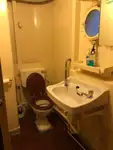 Dragă de vânzare