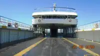Ro-Ro ship de vânzare