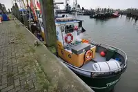 Nava de pescuit tip trauler de vânzare