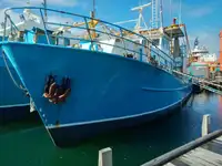 Trawler de vânzare