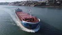 Nava de transport marfă vrac de vânzare