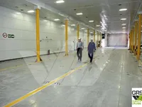 Navă RoPax de vânzare