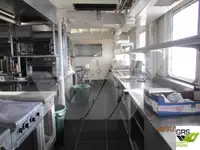 Navă de croazieră de vânzare