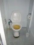 Nava de pescuit cu linii lungi de vânzare
