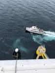 Catamaran de vânzare