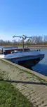 Nava de transport marfă vrac de vânzare