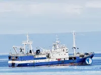 Nava de pescuit tip trauler de vânzare