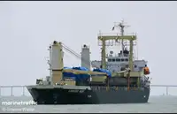 Navă de transport marfă uscată de vânzare