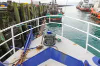 Nava transportoare de GNL de vânzare