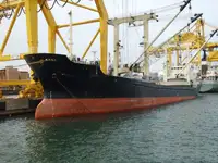 Nava de transport marfă vrac de vânzare