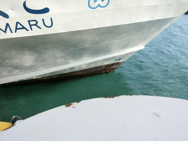Navă de pasageri de vânzare