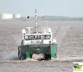 Navă de servicii pentru parcuri eoliene de vânzare