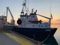 Nava de transport marfă vrac de vânzare