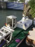 Dragă de vânzare
