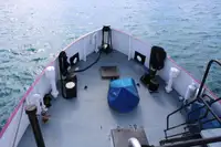 General Cargo/Multi-purpose de vânzare