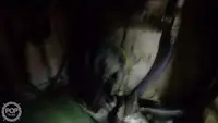 Nava de pescuit tip trauler de vânzare