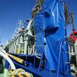 Purse seiner de vânzare