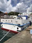 Nava de transport marfă vrac de vânzare