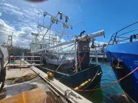 Nava de pescuit tip trauler de vânzare