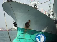 Nava de pescuit cu linii lungi de vânzare