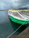Navă de feribot de vânzare
