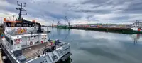 Catamaran de vânzare