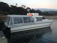 Catamaran de vânzare