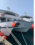 Catamaran de vânzare