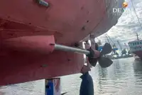 Navă de feribot de vânzare