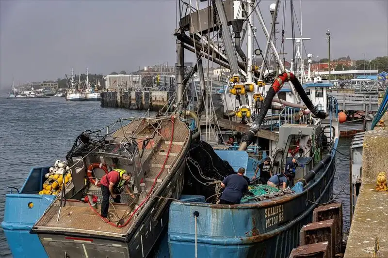 Nava de pescuit cu plase purseine de vânzare