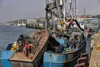 Nava de pescuit cu plase purseine de vânzare