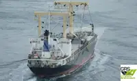 Nava de transport marfă vrac de vânzare
