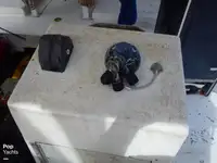 Nava de pescuit tip trauler de vânzare