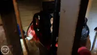 Nava de pescuit tip trauler de vânzare