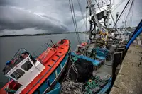 Nava de pescuit cu plase purseine de vânzare