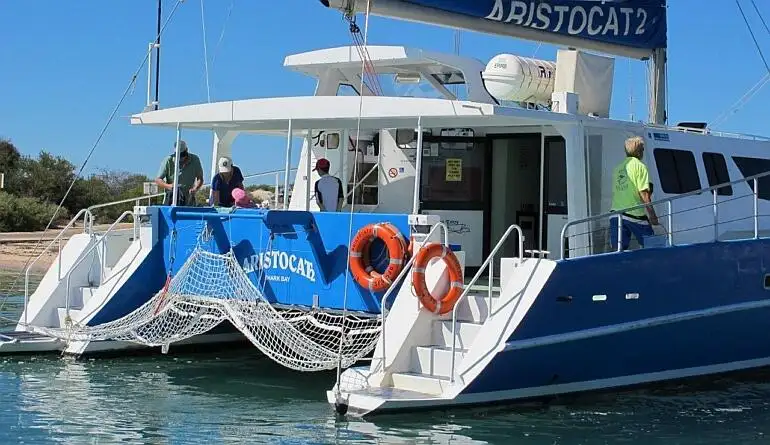 Catamaran de vânzare