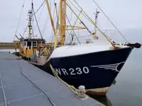 Trawler de vânzare
