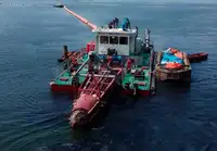 Dragă de vânzare