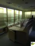 Navă de croazieră de vânzare