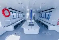 Catamaran de vânzare