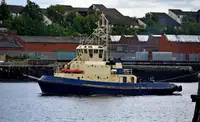 Remorcher de vânzare