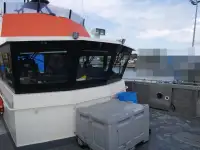 Catamaran de vânzare