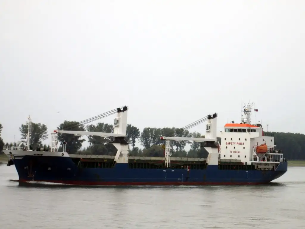 Nava de transport marfă vrac de vânzare