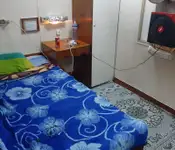Nava de transport marfă vrac de vânzare