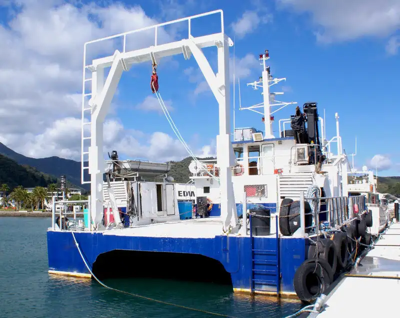 Catamaran de vânzare