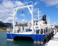 Catamaran de vânzare