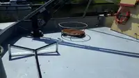Nava de pescuit tip trauler de vânzare