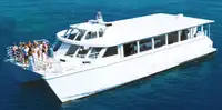Catamaran de vânzare