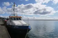 Ambarcațiune de patrulare de vânzare